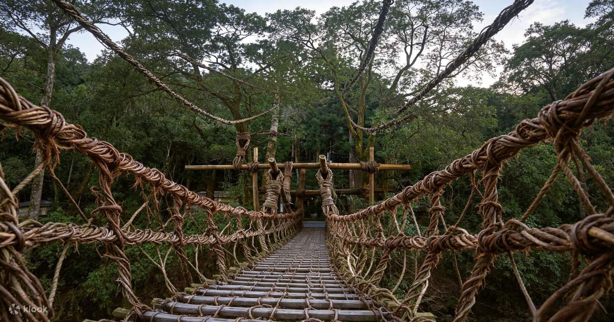 葛橋ページ 成東の渦潮、祖谷のかずら橋、大歩危峡 日帰りツアー - Klook