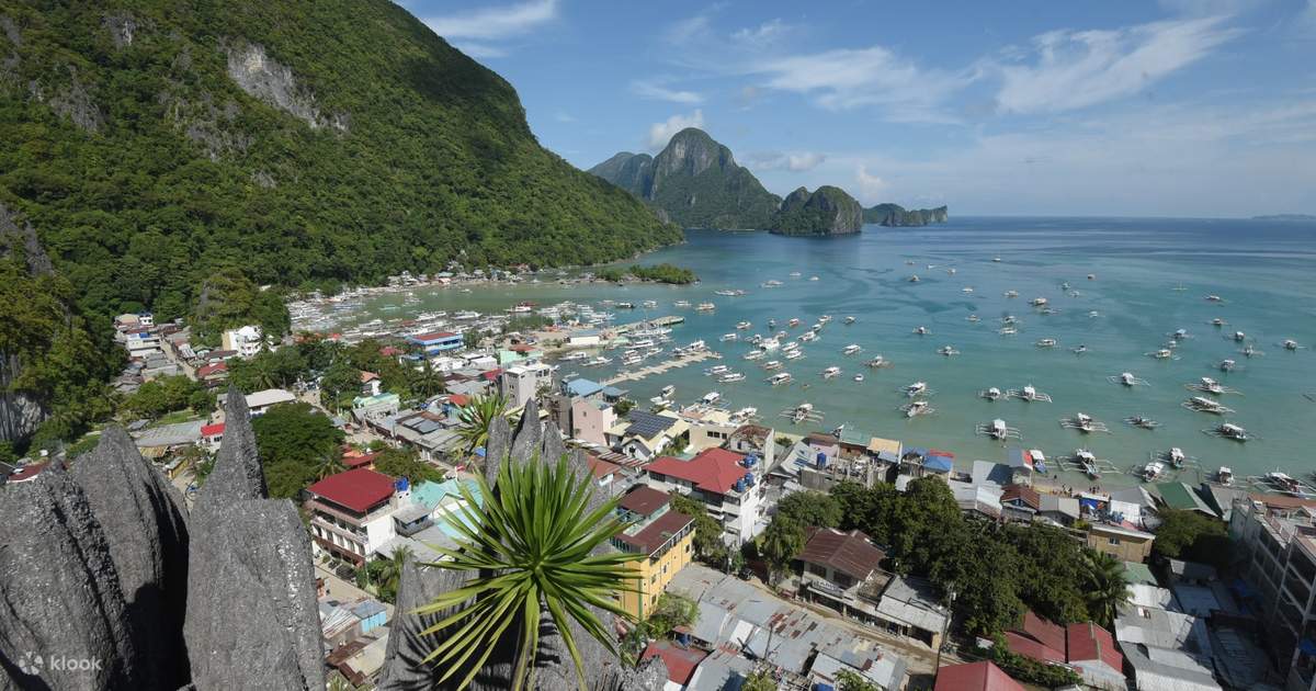 El Nido Via Ferrata Ticket (Canopy Walk Viewdeck and Dreamcatcher