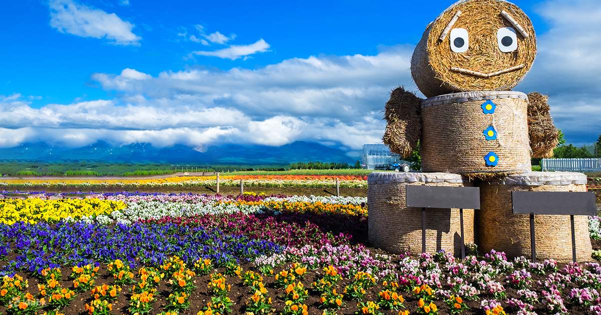 【Excursão de um dia com duas rotas pelas flores de Hokkaido】Lago Azul ...