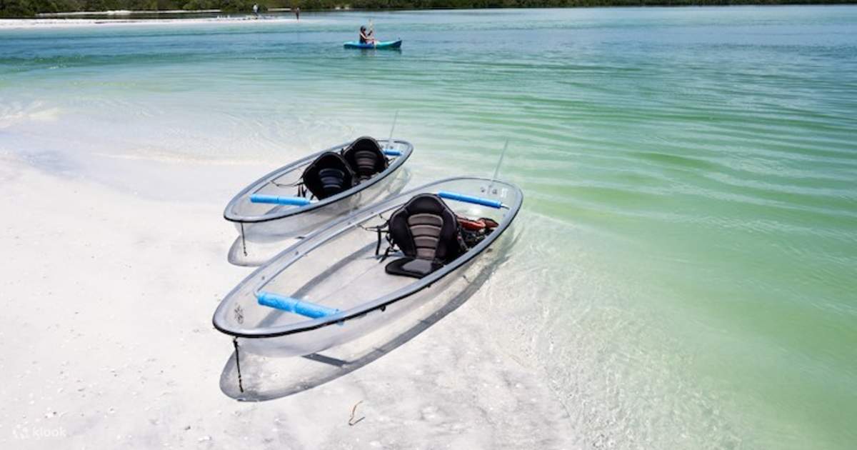 Shell Key Preserve Clear Kajak Tour in Tampa Bay - Klook Nederland