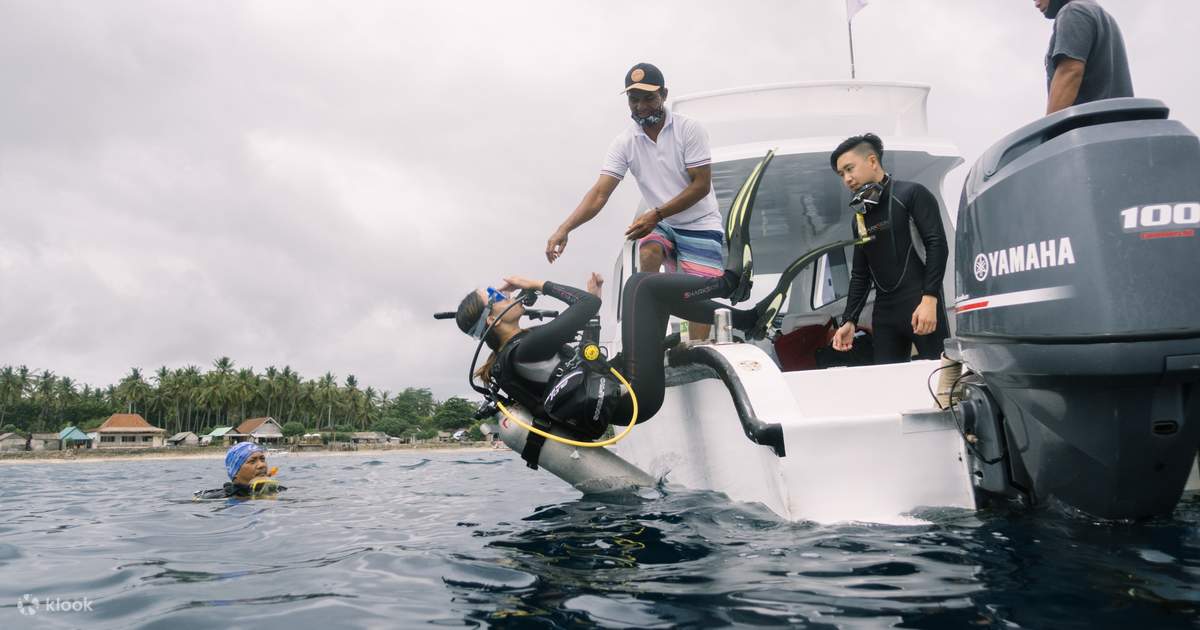 Daytrip Diving Adventures in Nusa Penida - Klook