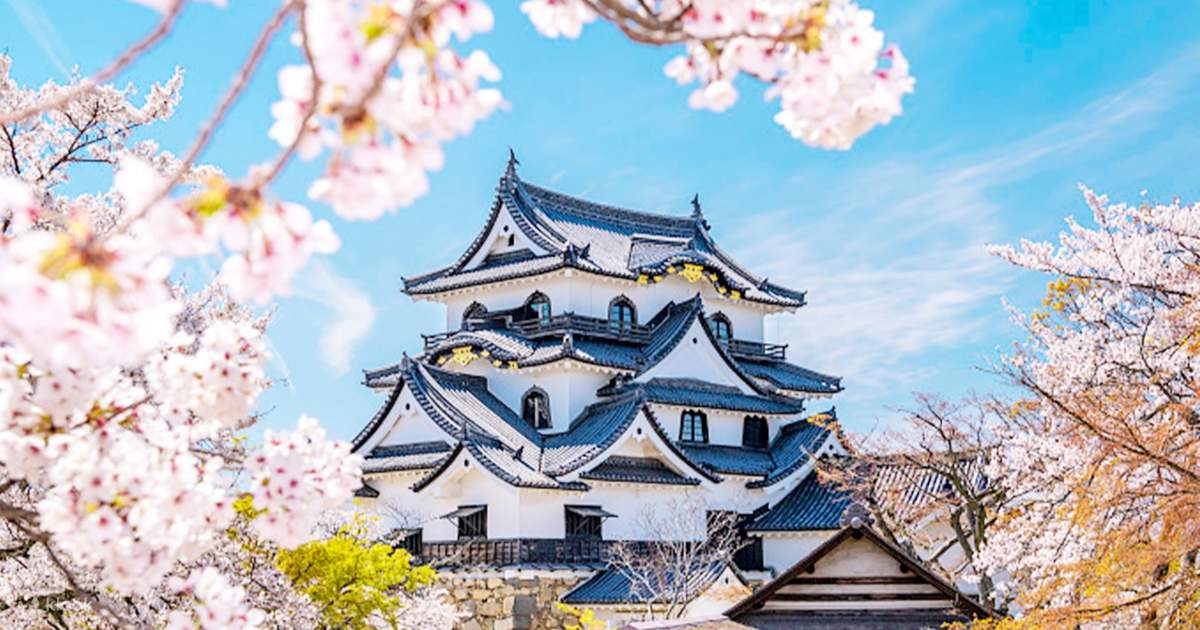 滋賀琵琶湖四季風光一日遊|彥根城賞櫻・比叡山賞楓・遊船・玩雪+ La Collina 近江八幡 + 奈良一日遊 (大阪出發) - Klook