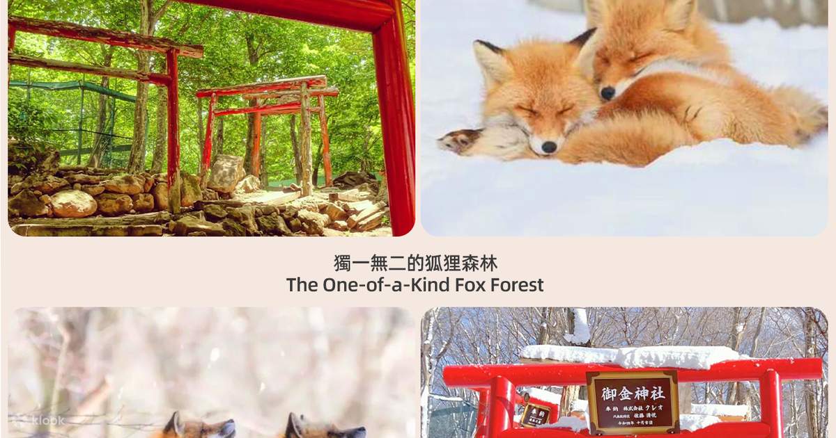 Miyagi Zao Fox Village & Shiroishi U-men Tsuri-gane An & Ginzan