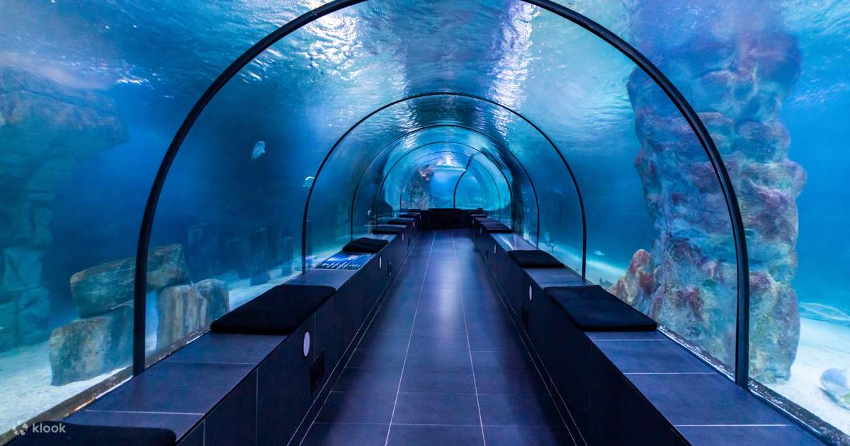 istanbul aquarium photos