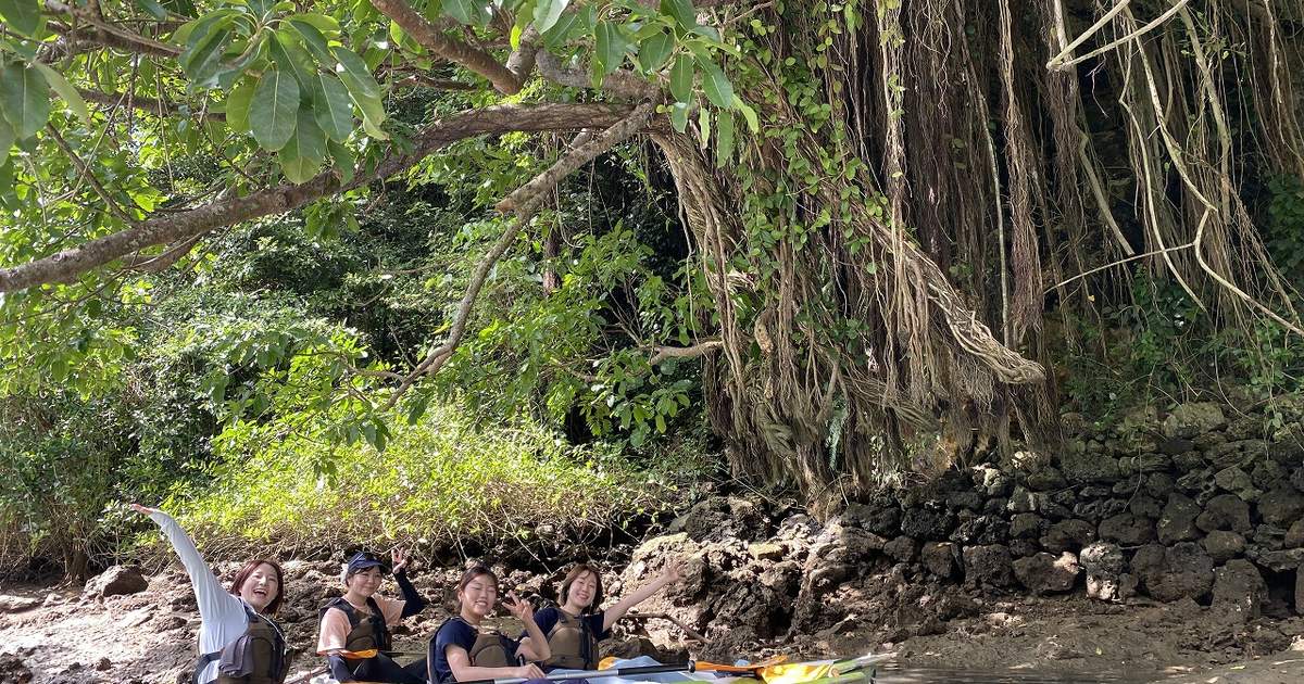 Okinawa Mangrove Kayak Tour with Photo Gift - Klook