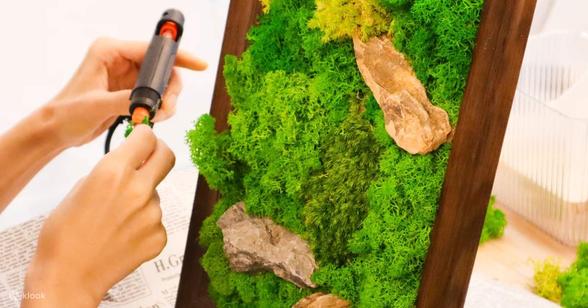 プリザーブドモスフレームワークショップ：自分だけの苔アートを作ろう 