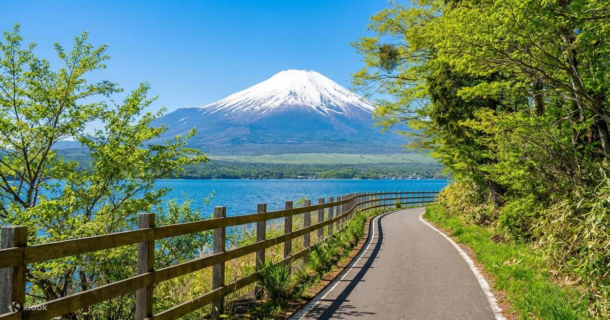 富士山＆箱根：箱根神社＆水上鳥居＆海賊船＆大涌谷＆山中湖＆忍野八海