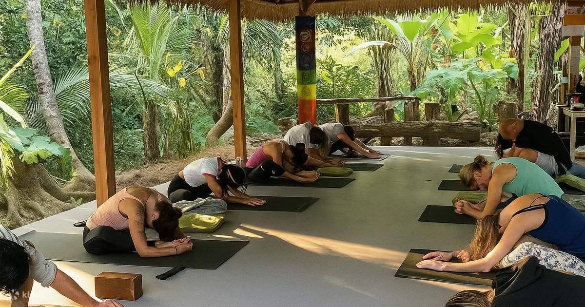 7 Day Solo Travellers Yoga Retreat in Ubud Bali - Klook