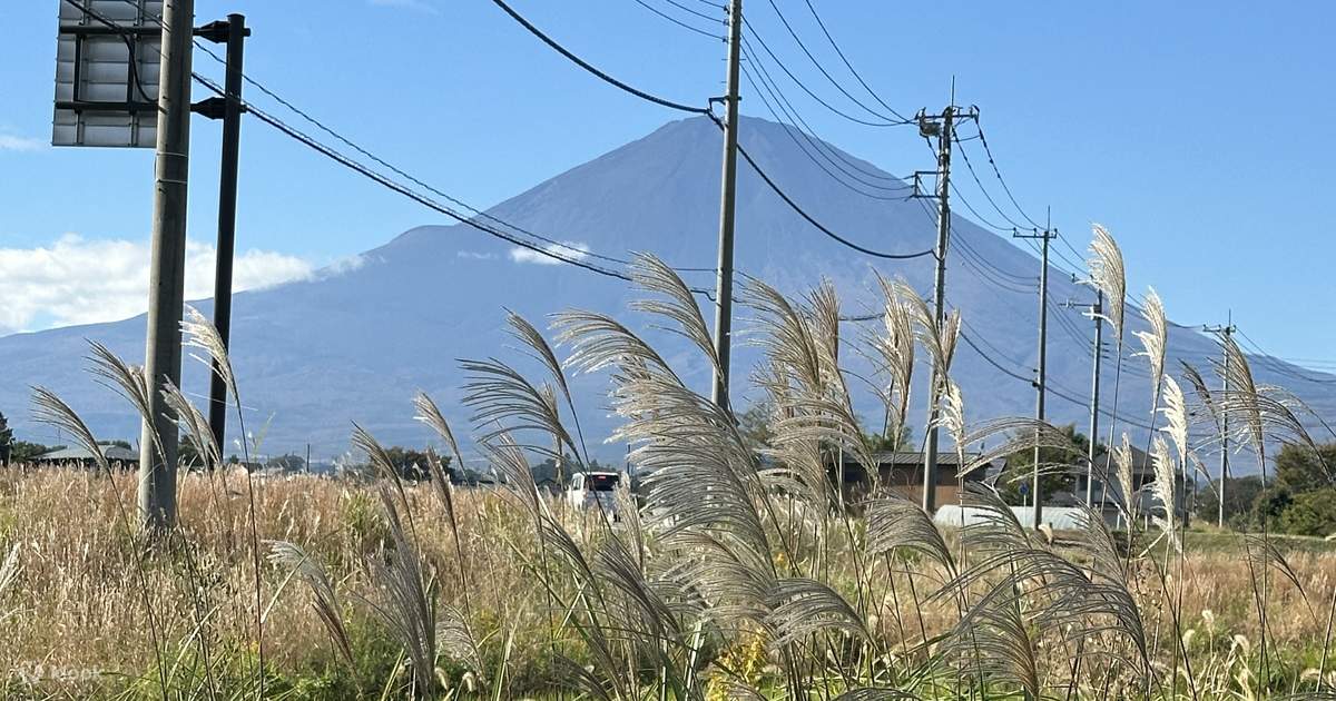 HondaSoundWorks　FUJIYAMA DRIVE Tokyo Fuji Speedway & Mt. Fuji Half-Day Private Tour - Klook Canada