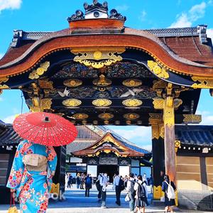 [In-Depth Kyoto] Nijo Castle + Kinkaku-ji + Fushimi Inari Taisha + Arashiyama Tenryu-ji & Bamboo Grove One-Day Tour | Choose Departure from Osaka/Kyoto