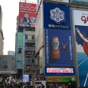 大阪 - 大阪私人半日／全日徒步導覽（英語／日語導遊）