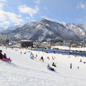 新潟縣 - 湯澤中里滑雪場纜車券含裝備租借
