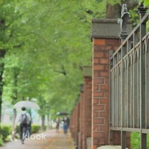 東京 - 東京大學半日沉浸式校園體驗