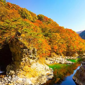 栃木縣 - 【秋季龍王峽徒步一日遊】鬼怒川大吊橋+鬼怒川溫泉