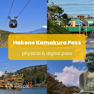 Tokyo - Hakone Kamakura Pass