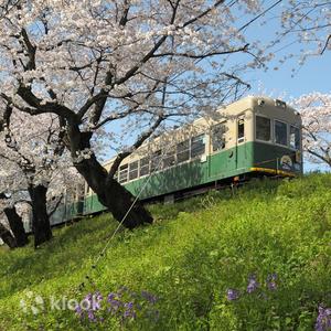 Arashiyama Tram & Kyoto Subway One-Day Pass