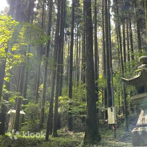 阿蘇神社＆中岳火山口＆上色見熊野座神社一日遊