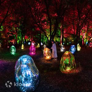 大阪 - 大阪長居植物園 teamLab Botanical Garden Osaka 門票