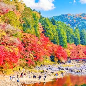 岐阜縣 - 虎溪山永保寺 & 小原四季櫻 & 香嵐溪紅葉一日遊