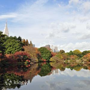 Tokyo - Shinjuku Gyoen
