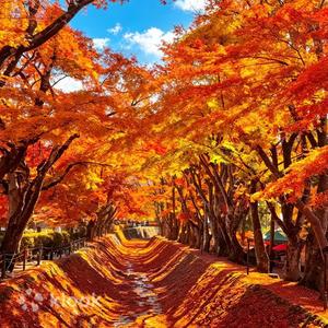 Classic Mount Fuji Two-Lake Autumn Leaves Day Trip | Lake Kawaguchiko Momiji Corridor & Lake Yamanakako Swan Boat Cruise (Swan Boat Ticket Included) | From Tokyo