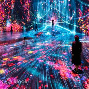 東京 - teamLab 無界美術館門票