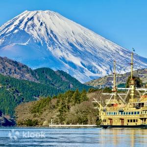 神奈川 - 從東京出發：富士山私人廂型車之旅