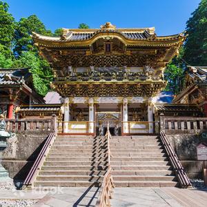 From Tokyo: Nikko Toshogu and Kegon Falls Day Bus Tour