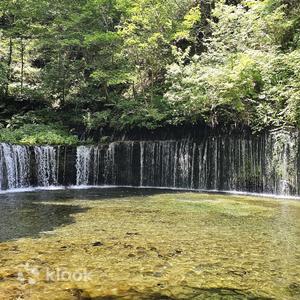 Kitasaku District - Karuizawa Day Trip | Shiraito Falls, Kumoba Pond, Kyu-Karuizawa Ginza Street, Karuizawa Outlet | From Shinjuku