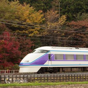 栃木縣 - 東武鐵道日光周遊券 Nikko Pass