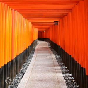 京都 - 京都一日遊