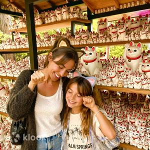 도쿄 고토쿠지 & 하라주쿠 고양이 카페 반나절 투어