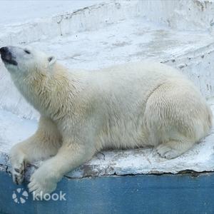 大阪 - 大阪天王寺動物園門票