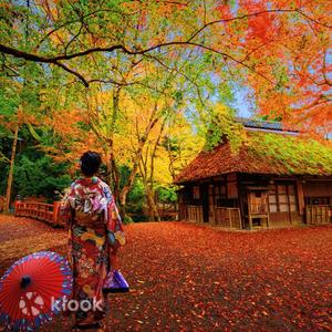 Fukuoka - [Autumn Only] Kyushu Beppu Autumn Leaves One-Day Tour | Kamado Shrine + Yufuin + Umi Jigoku + Yabakei | Chinese and English Guide (Departing from Fukuoka)