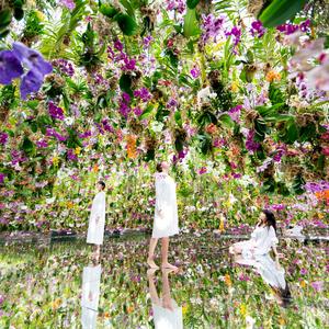 東京 - 東京豐洲 teamLab Planets TOKYO 門票