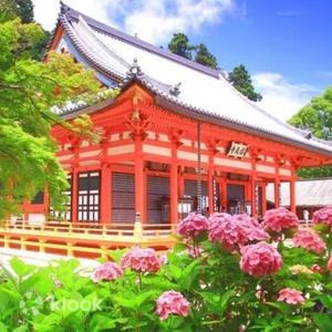 Minoh - Osaka: Katsuo-ji