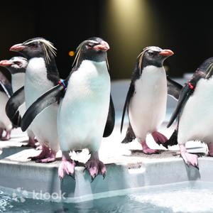 AOAO SAPPORO Aquarium (Hokkaido)