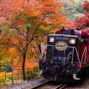 京都 - 京都保津川遊船與嵯峨野遊覽小火車之旅