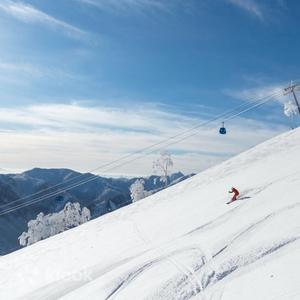 南魚沼市 - 冬季限定: 湯澤GALA/苗場NAEBA滑雪場一日遊 (東京出發)