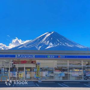 Yamanashi - Mt. Fuji Instagram Spots One-Day Tour | From Tokyo