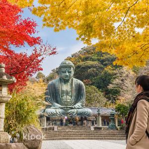 Kamakura and Enoshima Day Trip From Tokyo: Tsurugaoka Hachimangu, Hase-dera, the Great Buddha and Mt. Fuji Views