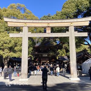 東京 - 東京:明治神宮歷史漫步與美食之旅