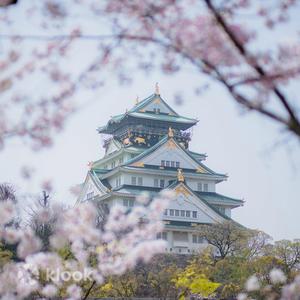 Osaka - Osaka Castle 3-Hour History Walking Tour