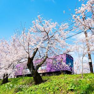 Arashiyama Food Coupon + Randen 1-Day Pass