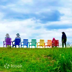 Uenofarm & Asahikawa Forest Small-Group Day Tour
