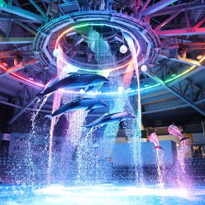 東京 - 東京品川馬克賽爾水上公園門票 Maxell Aqua Park
