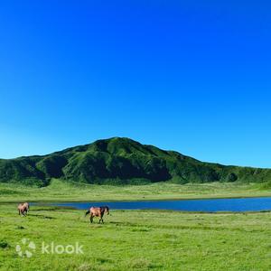 熊本縣 - 熊本阿蘇中嶽火山口和草千里一日遊私人之旅