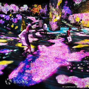 Fukuoka Prefecture - Fukuoka teamLab Forest Art Museum Ticket