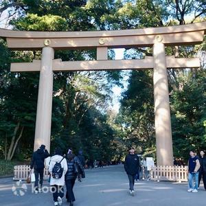 東京 - 東京徒步之旅:從原宿明治神宮到澀谷十字路口