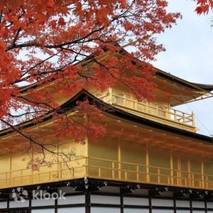 【京都世界文化遺產】京都三大名所金閣寺＆銀閣寺＆清水寺半日遊